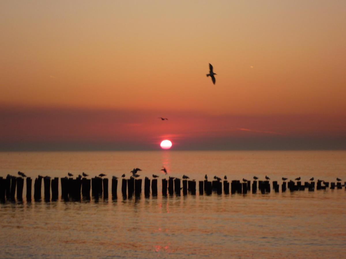 Vakantiehuis Domburg Do08 Met Sauna! 外观 照片